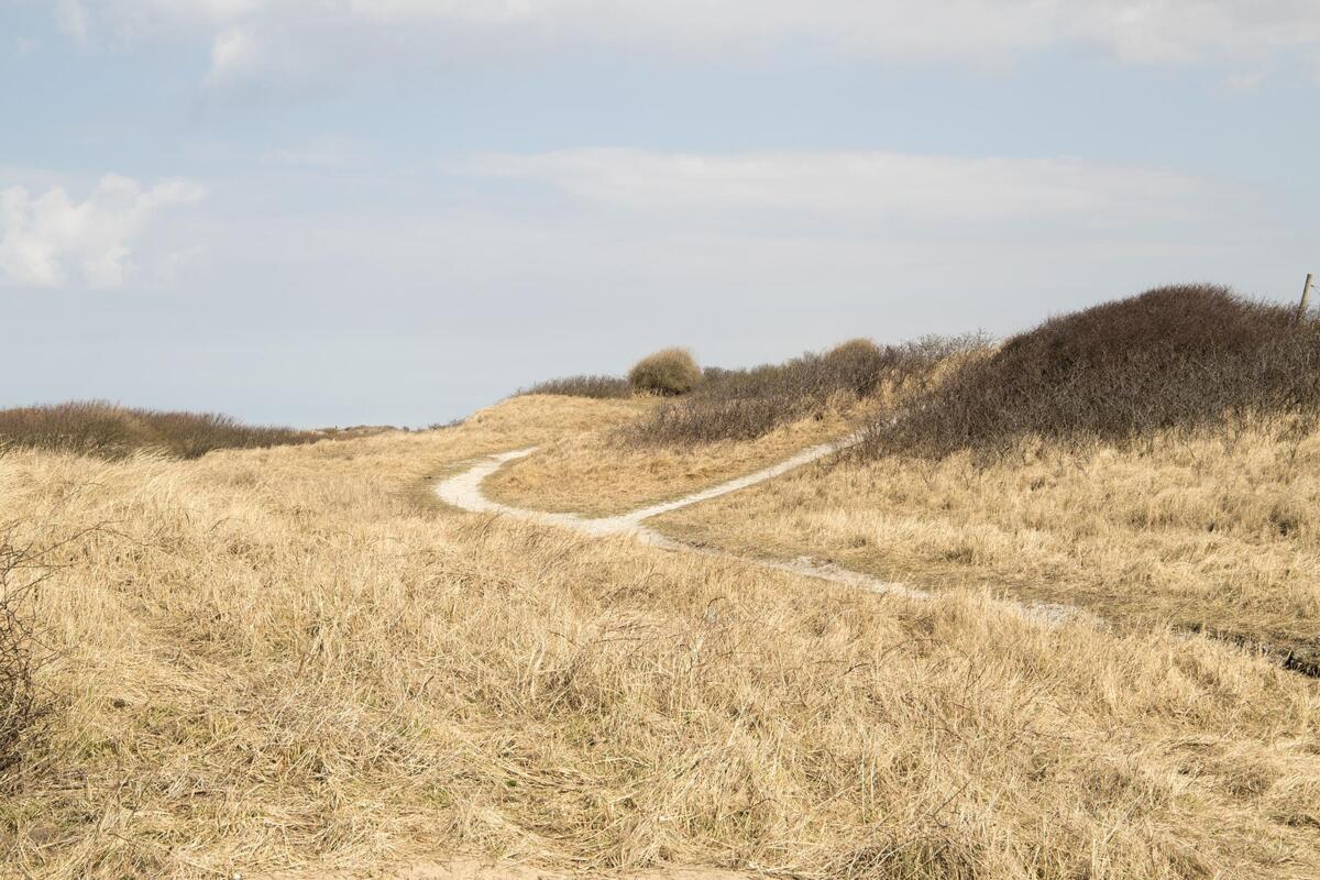 Duinen_2.jpg