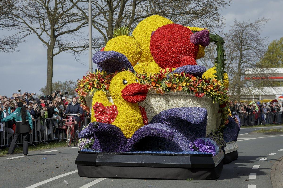 flower_parade3.jpg